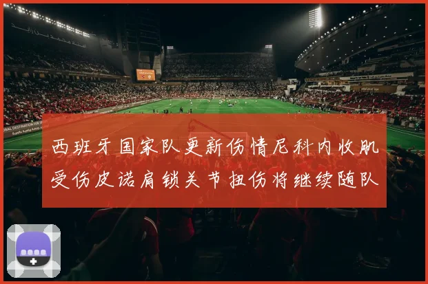 西班牙国家队更新伤情尼科内收肌受伤皮诺肩锁关节扭伤将继续随队训练