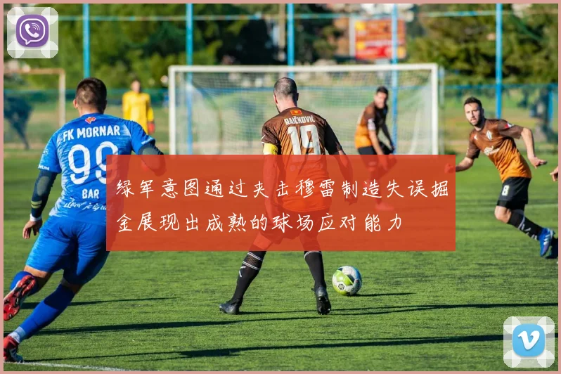 绿军意图通过夹击穆雷制造失误掘金展现出成熟的球场应对能力