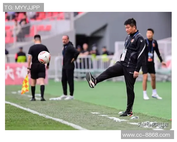 辽宁铁人提升报价有望签下巴西国际边锋维蒂尼奥引发关注